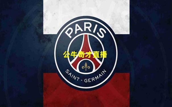 公牛奇才直播