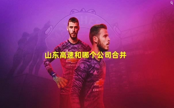 山东高速和哪个公司合并