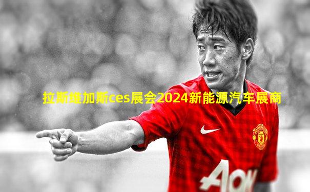 拉斯维加斯ces展会2024新能源汽车展商