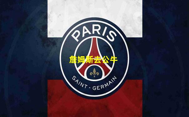 詹姆斯去公牛