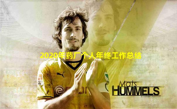 2020年药厂个人年终工作总结