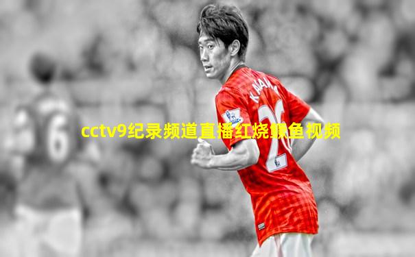 cctv9纪录频道直播红烧鳜鱼视频