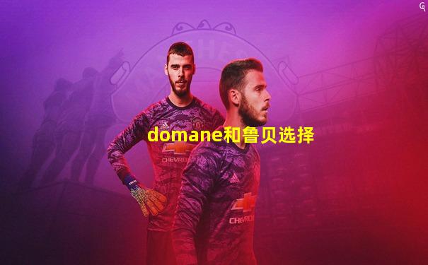domane和鲁贝选择