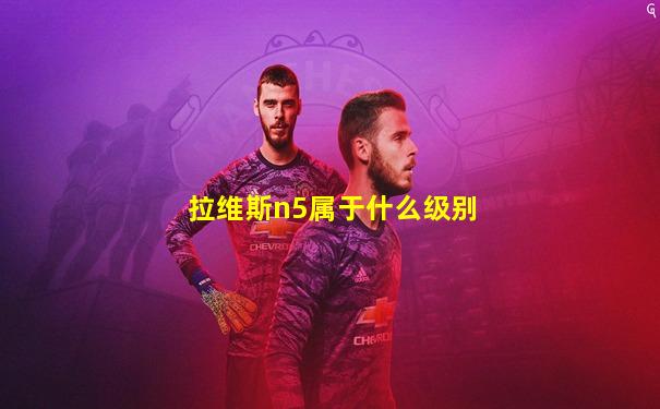 拉维斯n5属于什么级别