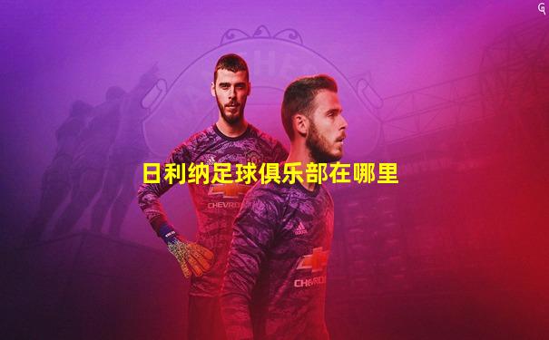 日利纳足球俱乐部在哪里
