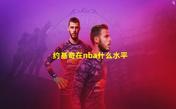 约基奇在nba什么水平