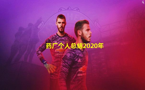药厂个人总结2020年